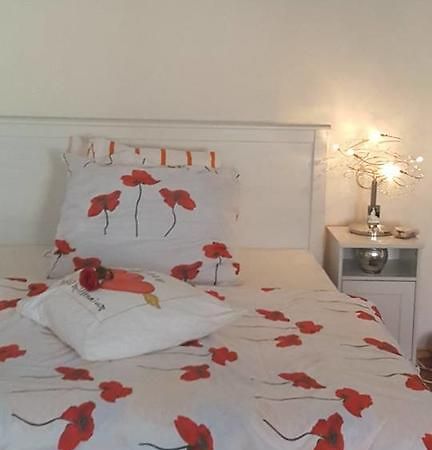 Moravská Třebová Penzion-Apartman U Johana מראה חיצוני תמונה