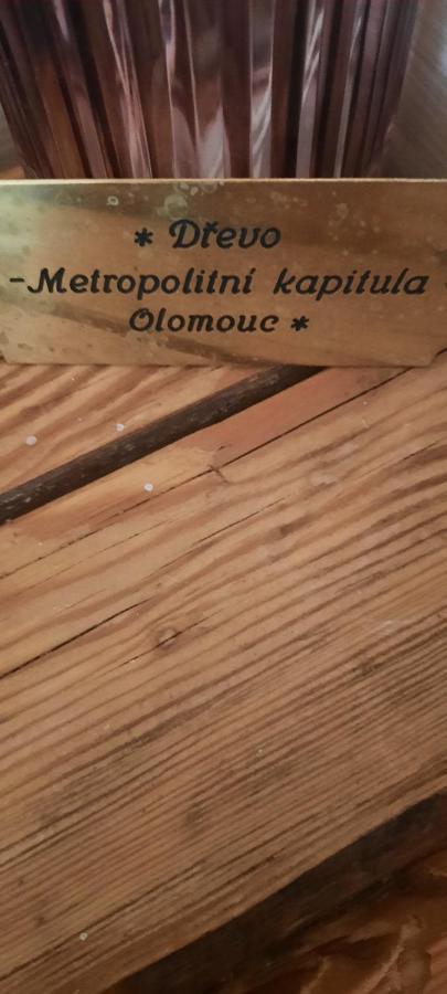 Moravská Třebová Penzion-Apartman U Johana מראה חיצוני תמונה